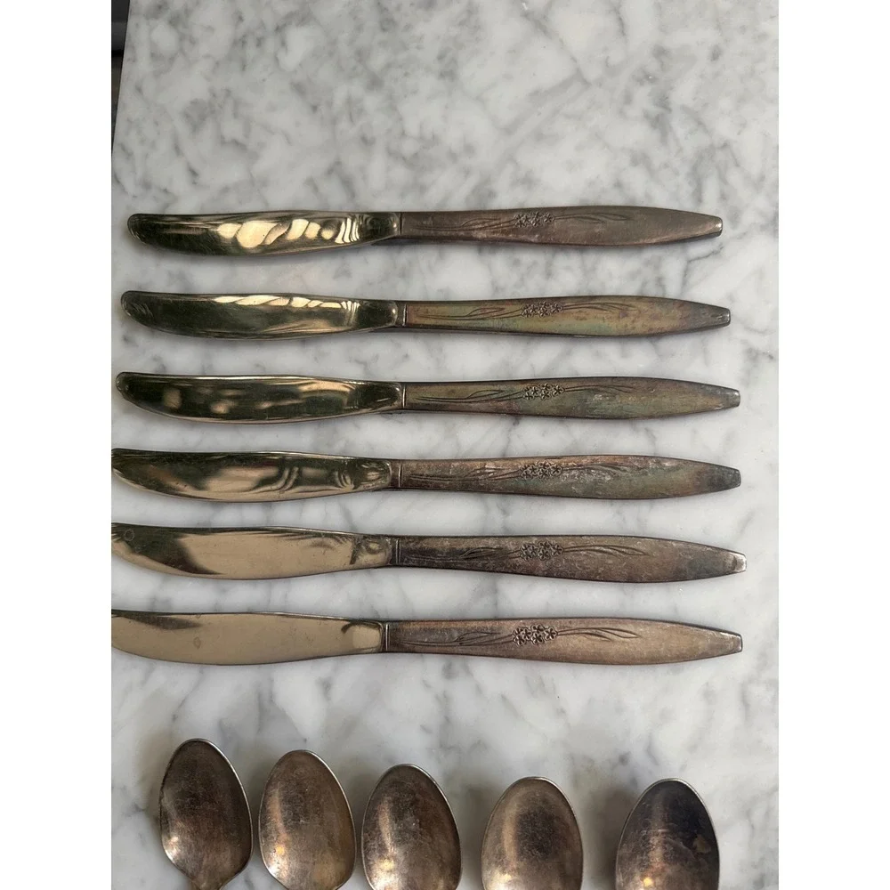 Oneida Community Enchantment Gentle Rose Silverplate Flatware 17pc Set 1960